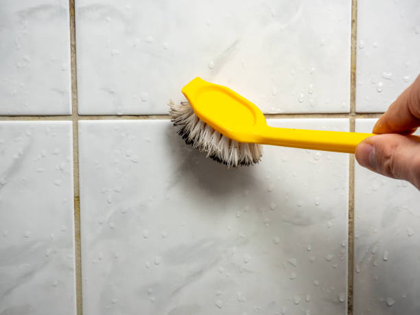 Best Residential Mold Removal  in Bovina, TX