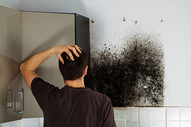 Crawl Space Mold Removal in Bovina, TX